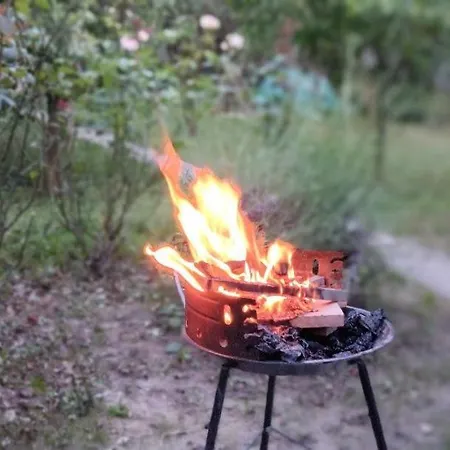 Tesla Vikendica Novi Ledinci